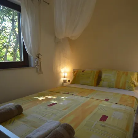 Borik Apartment Rovinj